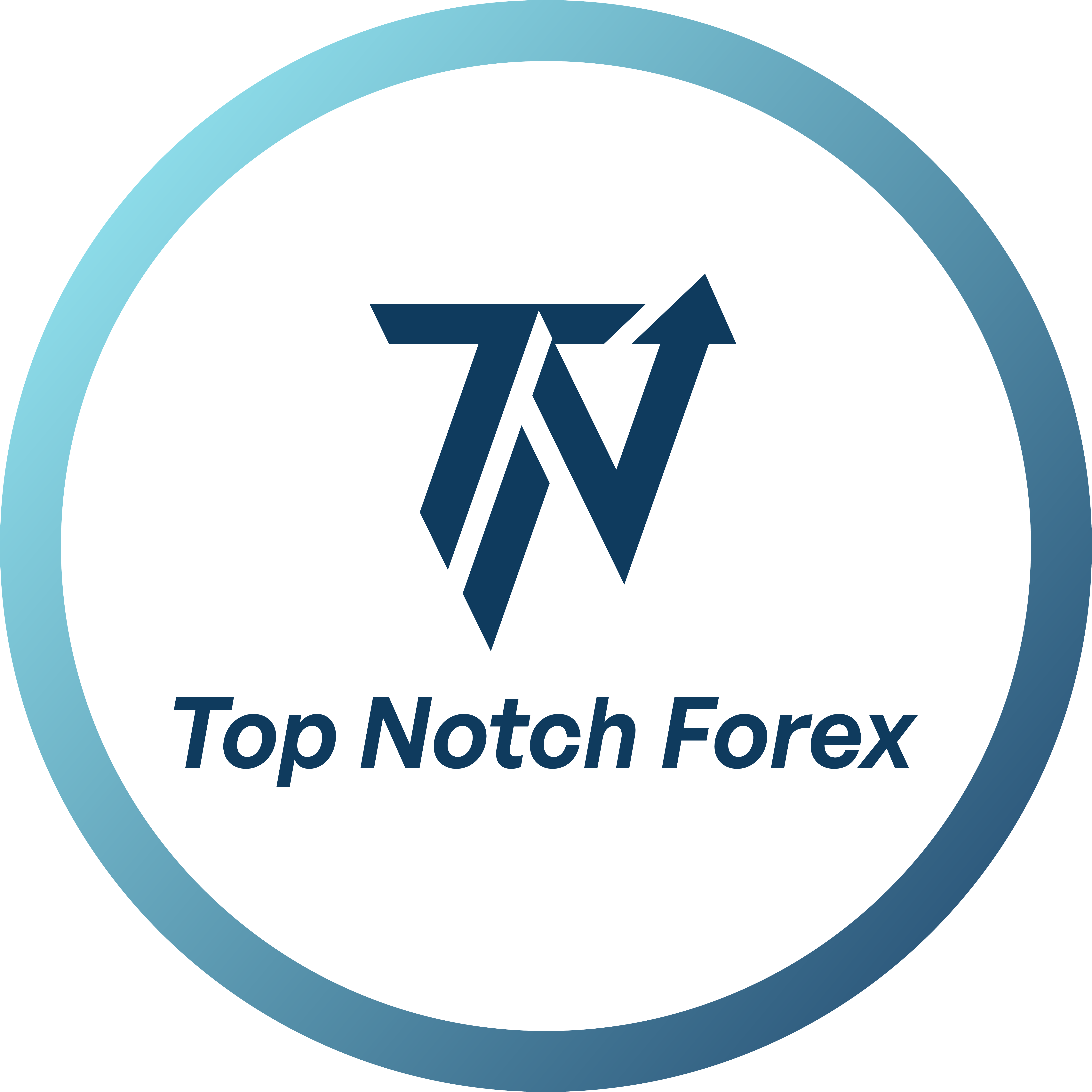 TNFX VIP